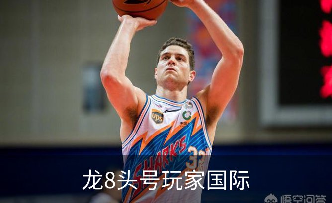 龙8头号玩家国际概况